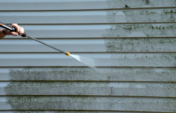 Best House Pressure Washing  in Meadow Les, AK