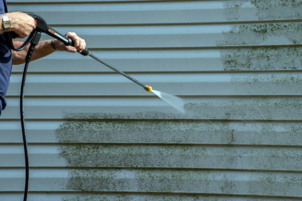 Best Roof Power Washing Services  in Meadow Les, AK
