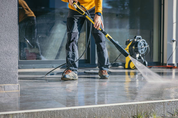 Best Fence Pressure Washing  in Meadow Les, AK