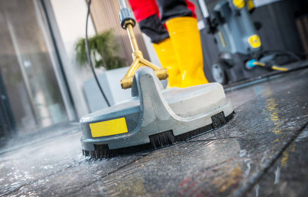 Best Pressure Washing Near Me  in Meadow Les, AK