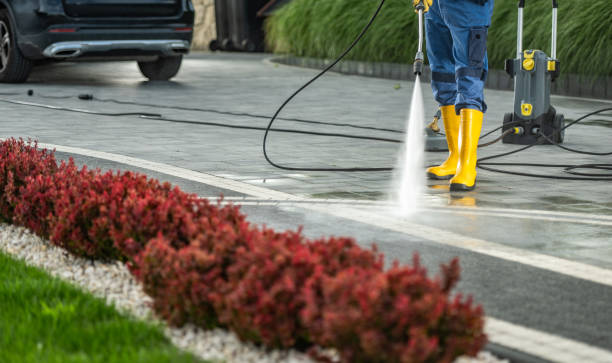 Best Exterior Home Cleaning  in Meadow Les, AK
