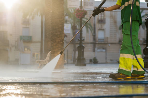 Best Best Pressure Washing Companies  in Meadow Les, AK