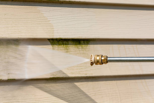 Best Affordable Pressure Washing  in Meadow Les, AK