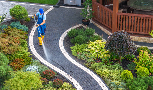 Best Local Pressure Washing Services  in Meadow Les, AK