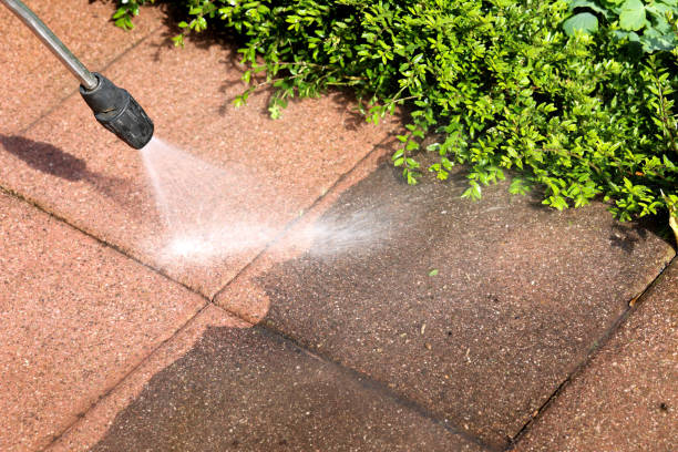 Best Roof Power Washing Services  in Meadow Les, AK